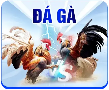 đá gà s666